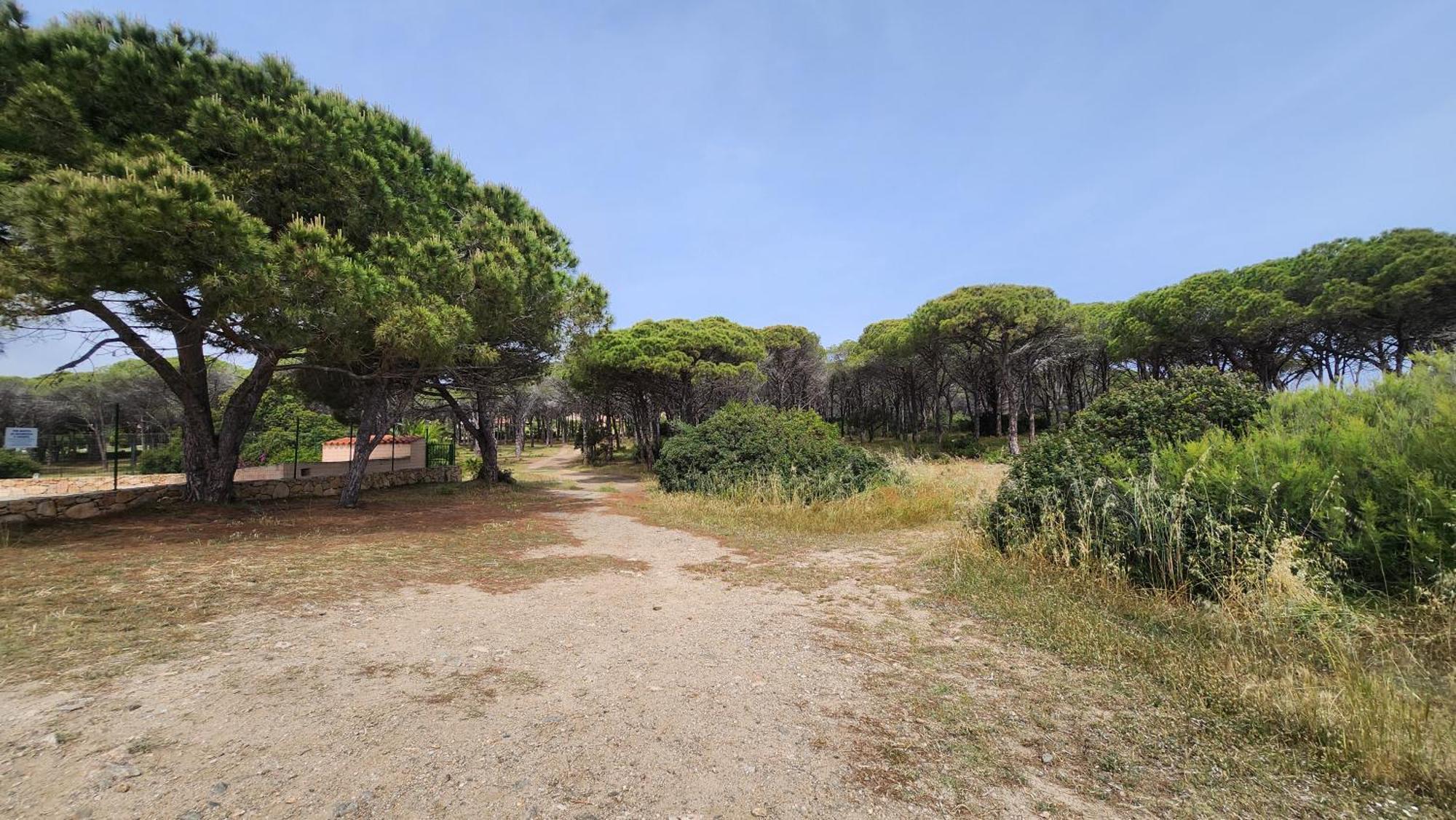 Villa Le Pavoncelle à Budoni Extérieur photo